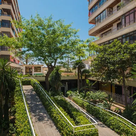 Nogalera Party&beach Select Apartment *