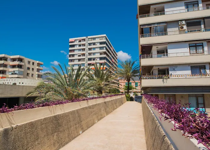 Nogalera Party&beach Select Apartment