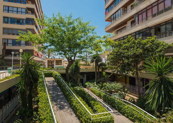 Nogalera Party&beach Select Apartment *